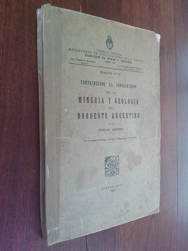 Minería Y Geología Del Noroeste Argentino - Pascual Sgrosso