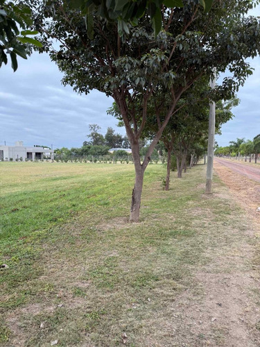Venta De Lote En El Timbó