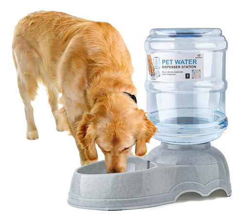 Water Dispenser Station For Large Dogs And Cats 3 Gallon Gra