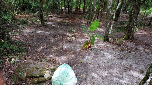 Chacara Sitio Em Itanhaem Prox Ao Bopiranga
