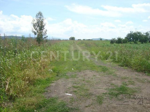Imagen 4 de 6 de Terreno En Venta 15,000.0 M²,la Calera, Tlajomulco De Zúñiga, Jalisco