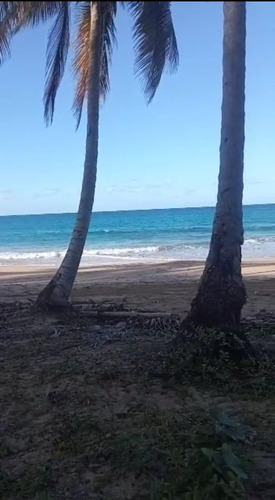 Coson, Samaná, 1era Linea De Playa