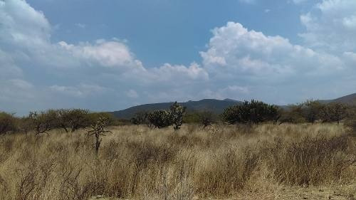 Imagen 9 de 13 de Macrolote En Venta Para Desarrolladores En Tequisquiapan, Querétaro.