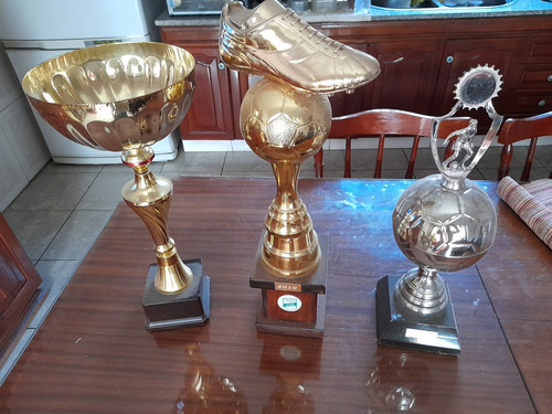 Lote X 3 Trofeos Botin Y Otros