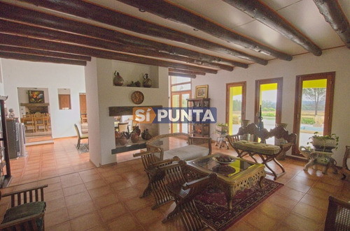 Imagen 2 de 30 de Chacra En Venta - Camino Cerro Eguzquiza