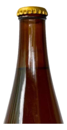 Pack De 24 Ginger Beer Birra Golden 355 Ml