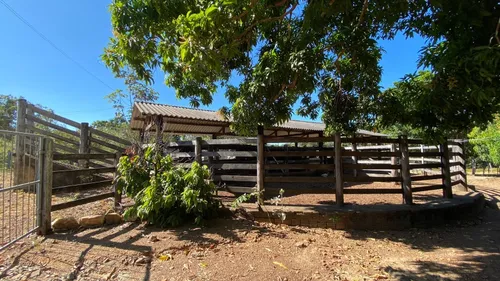 Venda De Fazenda Com Estrutura Completa Potencial Produtivo