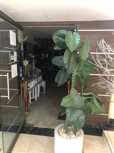 Renta Local En Insurgentes Sur