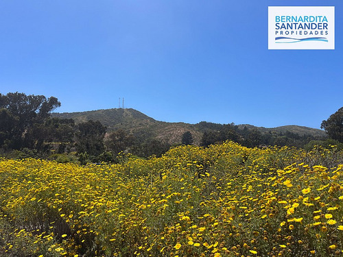 Sitio En Condominio Maiten Cachagua