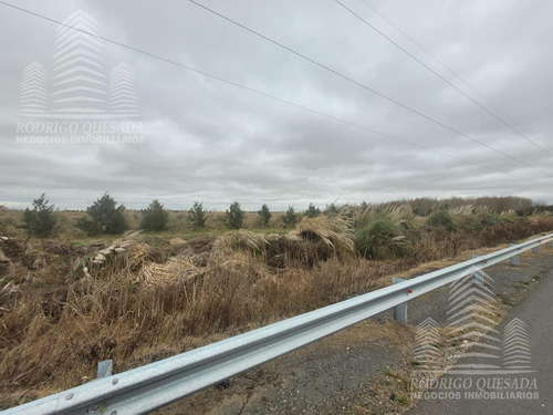 Terrenos-frente A Entrada De Costa Del Este-cada Uno Cuenta Con 4.000mts² Usd 95.000 C/u