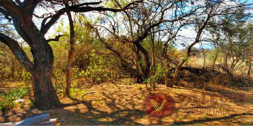 Imagen 6 de 7 de Terreno 1500 M2 Venta Doroteo Olmedo Y Luisa Alaniz 100, Los Molles