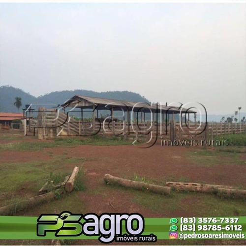 Imagem 5 de 16 de Fazenda À Venda, 65000 Hectares Por R$ 190.000.000 - Zona Rural - São Félix Do Xingu/pa - Fa0156