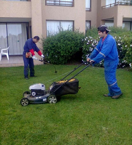 Diseño Construcción Y Mantenimiento Jardines