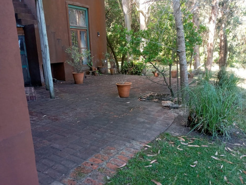 Chacra En Oportunidad Zona Jose Ignacio - Ref: 217418