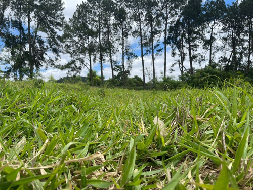Imagem 3 de 14 de M03- Últimas Unidades Á Hora É Agora