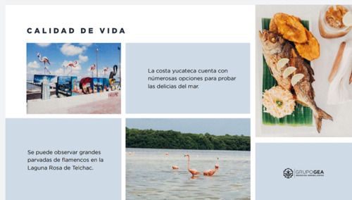 Imagen 6 de 13 de Playales Telchac