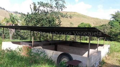 Imagen 23 de 24 de Angelica Nati Rent A House Finca En Venta Vallecito Tinaquillo Cojedes Cod 22m6016 Ar
