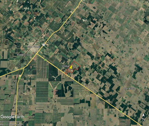 Imagen 2 de 4 de Imperdible !! Campo Agricola Chaco Gral Pinedo Acceso Por Ruta. Alquiler Fijo, Negociable