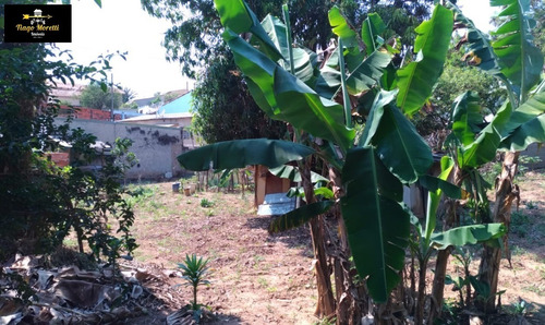 Imagem 12 de 16 de Chácara A Venda Em Boituva Com 3 Casas Simples Em Ponto Comercial - Ch00091 - 34424600