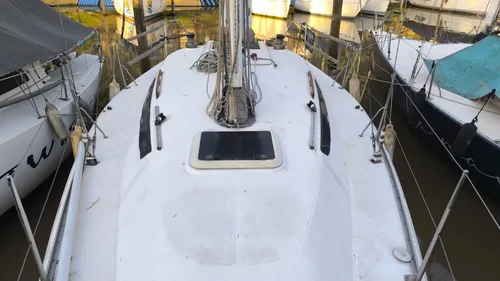 Quantum 29 -