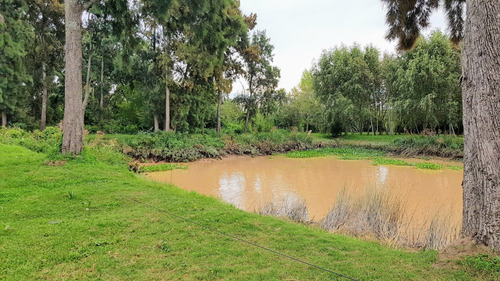 Lotes Venta 2da Secc. Delta, Islas Sobre Paraná De Las Palma