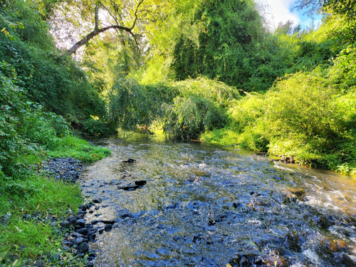 Parcelas A 3 Minutos De Río Negro, Orilla De Rio, Urbanizada