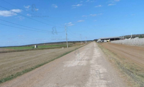 Imagen 8 de 11 de Terreno En Venta 1200 Hectareas Tekax, Yucatán. Ctv16.