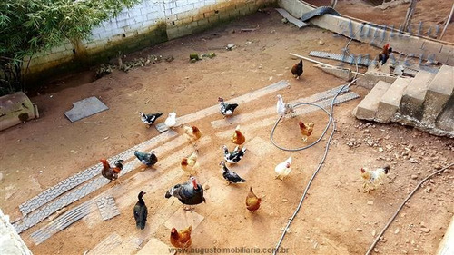 Imagem 2 de 24 de Chácaras À Venda Em Atibaia/sp - Compre O Seu Chácaras Aqui! - 1269234