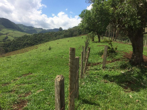Imagem 6 de 30 de Fazenda - Município Cambuí-mg - Fa0050
