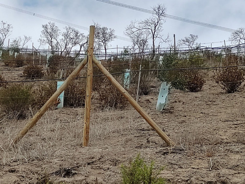 Venta Terreno 5.500 M2, Calera Detango Cerró $33.000.000
