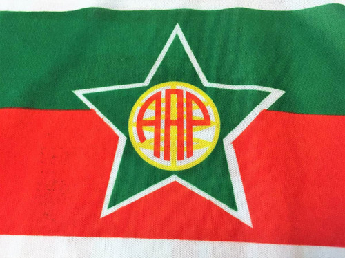 Camisa Portuguesa Carioca De Jogo Rara Anos 90
