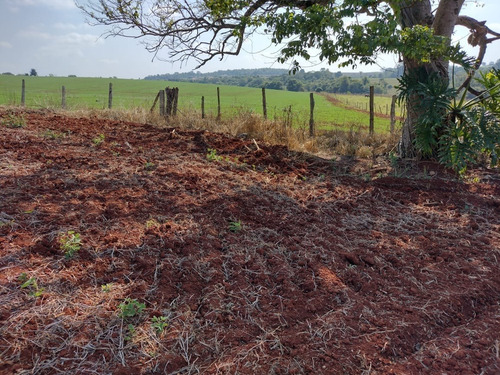 Imagem 1 de 11 de Chácara 4,5 Alqueires Sem Casa,terra Vermelha,ótimo P/plantio De Grama,soja,milho,localização Nobre,fácil Acesso,5 Kms Do Centro De Quadra Sp - Ch00080 - 69505612