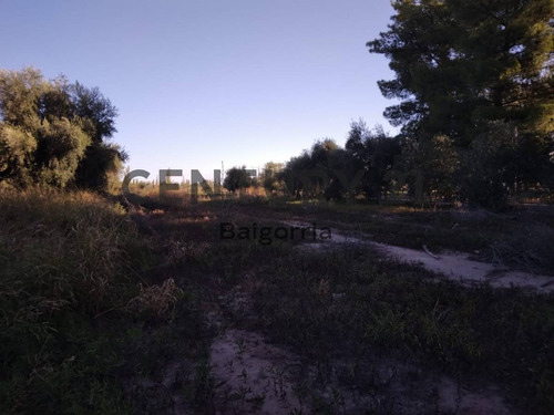 Imagen 4 de 7 de Terreno En Venta - Coquimbito Maipu Id: 44062
