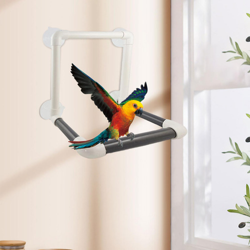 Pet Bird Parrot Shower Perch Parrot Stand Con 4 Ventosas