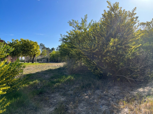 Imagen 5 de 17 de Solar- En Venta - En La Viuda A 500m De La Playa - Mza 210 - Solar 18