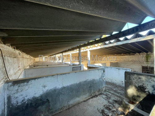 Rancho En Venta En Jaltepec Tulancingo De Bravo Gis 25-3119