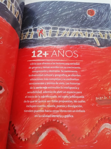 Literatura Infantil Y Juvenil 2020 Castillo (Usado)