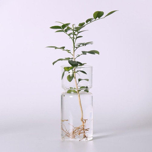 8 Micro Paisaje Florero De Cristal Jardín De Hadas Terrario