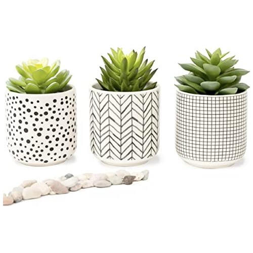 Artificial Succulents In Pots | Set Of 3 Black And Whit...
