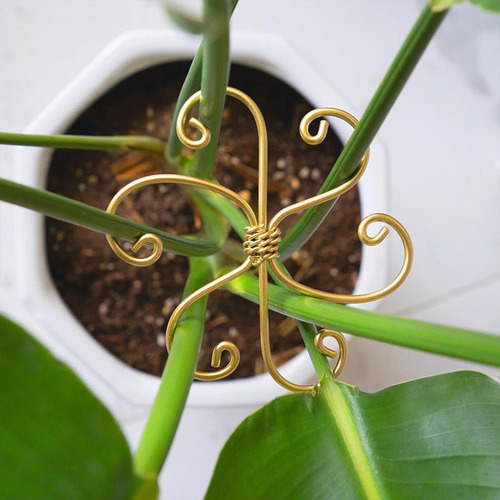 5 Piezas Plants Sheem Soporta De De Plantas De Metal Para
