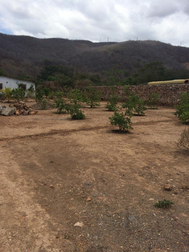 Imagen 8 de 14 de Casa En Venta Con Amplio Terreno 2000m2 Zona Tacal Cumana