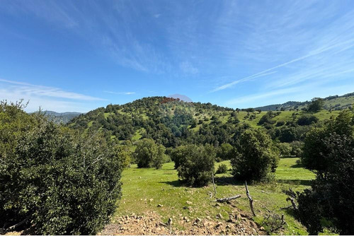 Terreno Con Hermosa Vista