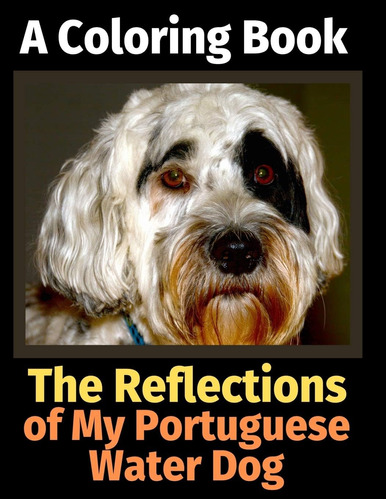 Libro: The Reflections Of My Portuguese Water Dog: A Colorin