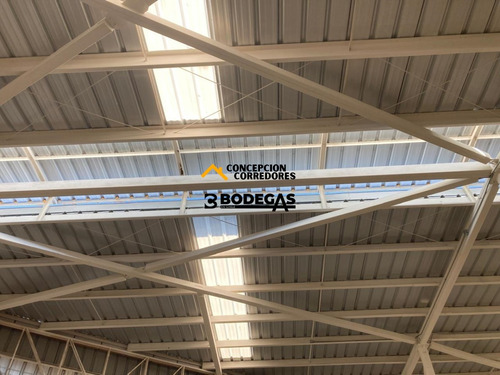 Arriendo Bodega De 300 M2 En Camino A Noviciado.