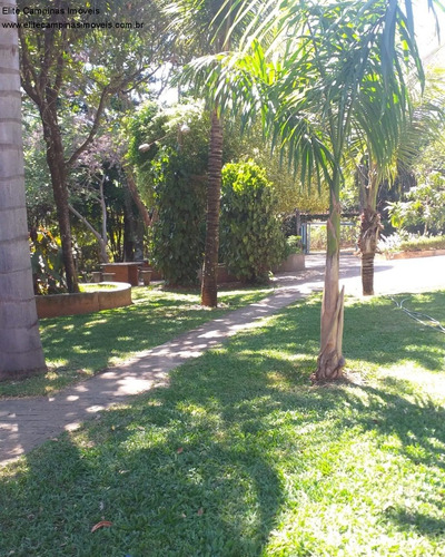 Imagem 6 de 10 de Chacara - Ch00170 - 70581495