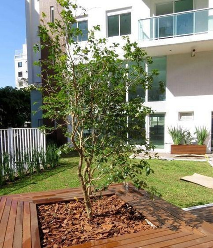 Cobertura Com 4 Dormitórios À Venda, 120 M² Por R$ 1.040.000,00 - Bigorrilho - Curitiba/pr - Co0229