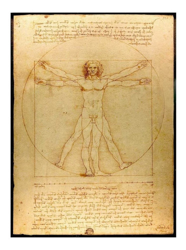 Lienzo Tela Canvas Hombre De Vitruvio 1490 Leonardo Da Vinci