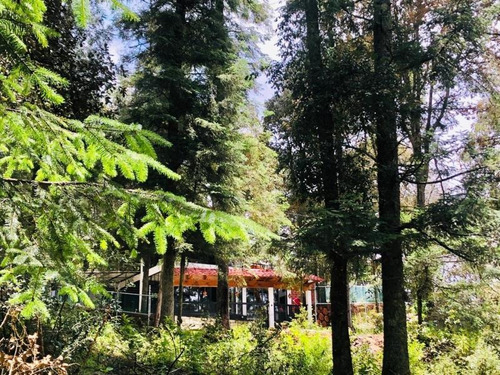Imagen 5 de 11 de Terreno En Venta Exclusivo Fraccionamiento Campestre Para Su Cabaña