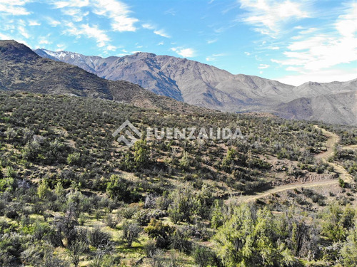 Parcela En Venta En Los Andes
