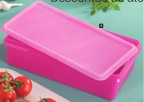 Tupperware Maxi Caixa Jeitosa 2,5l